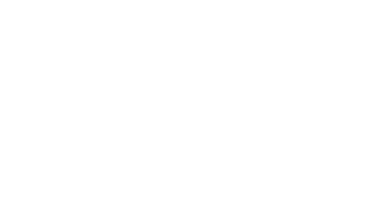 Australian Football Leagues logo white