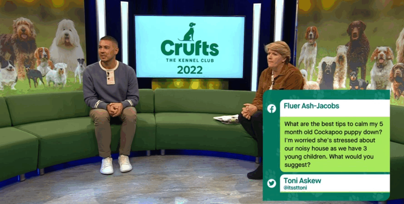 Crufts WhatsApp Fan Engagement