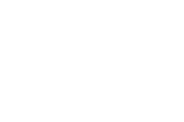 The Overlap Logo
