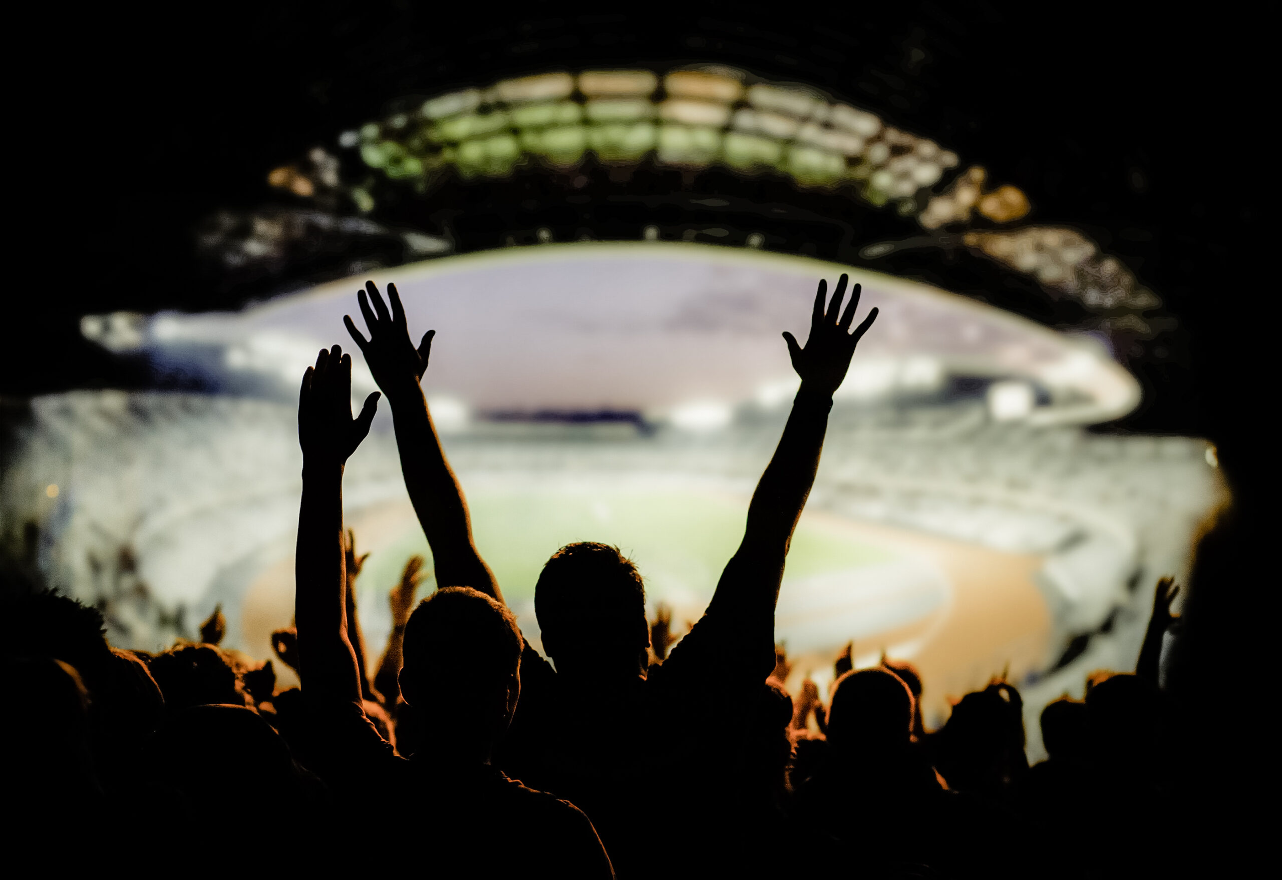 silhouette of football fans at a game in a stadium