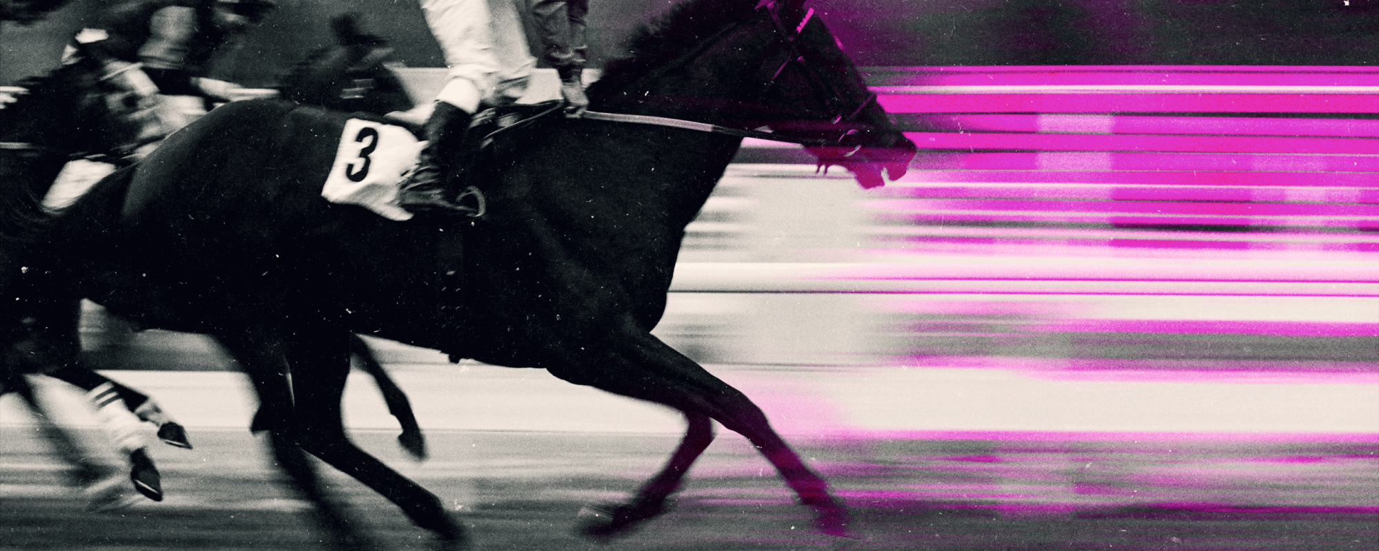 Horse racing image